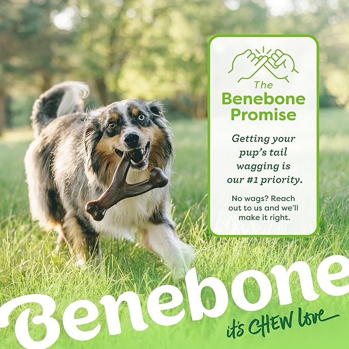 Benebone Wishbone Durable Dog Chew Toy for Aggressive Chewers, Made in USA, Large, Real Bacon Flavor