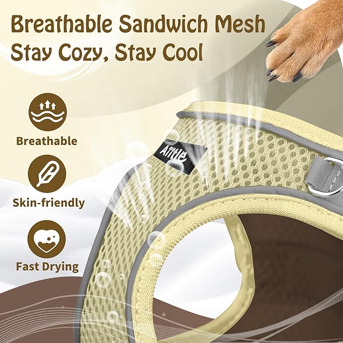 AIITLE Small Harness for Puppy with A Leash - Dog Vest Harness with Super Breathable Mesh, Reflective No-Pull Pet Harness for Outdoor Walking, Running for Small Dogs, Cats Beige XXS