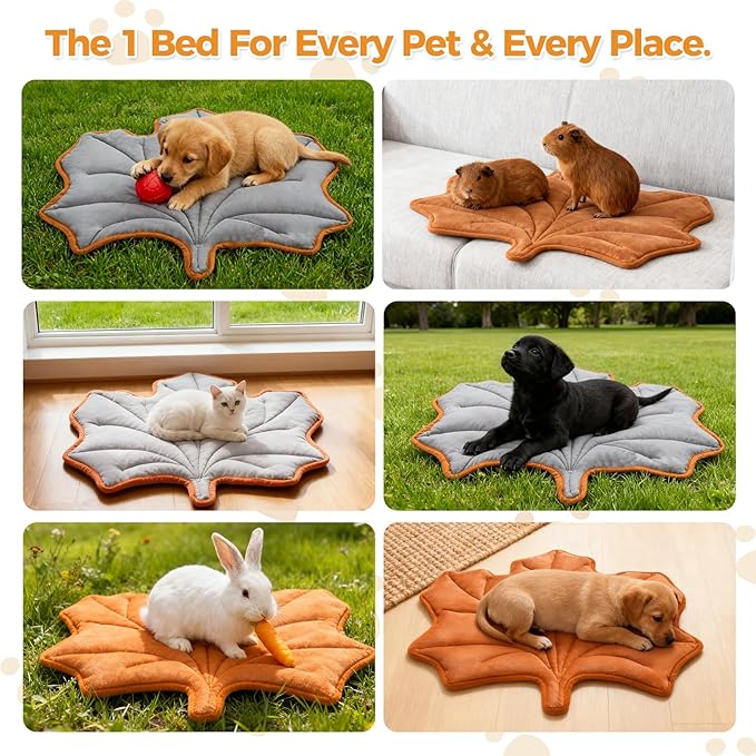KOOLTAIL Self Warming Cat Bed Mat for Indoor Cats Dogs, Reversible Cozy Pet Heated Pad Blanket with Thermal Foil, Thicken Cat Window Perch, Puppy Kitten House for Crate, Desk, Floor,Outdoor,Maple Leaf
