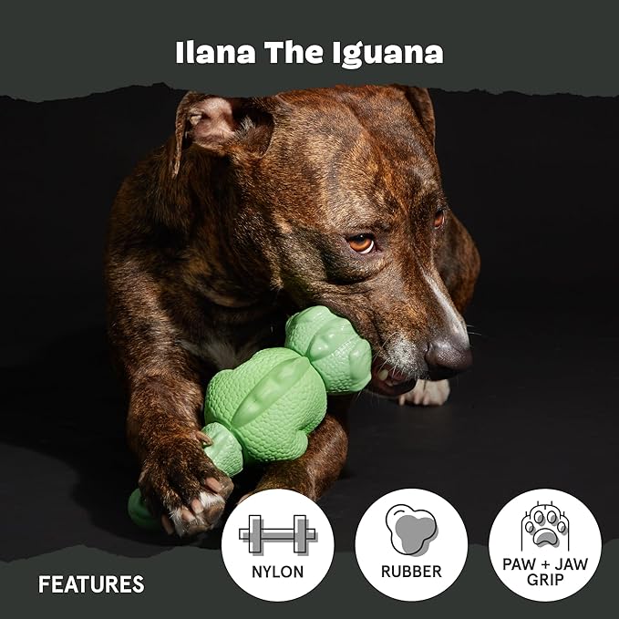 Barkbox Super Chewer Tough Dog Chew Toys for Aggressive Chewers, Dental Stimulating (Iguana - Large)
