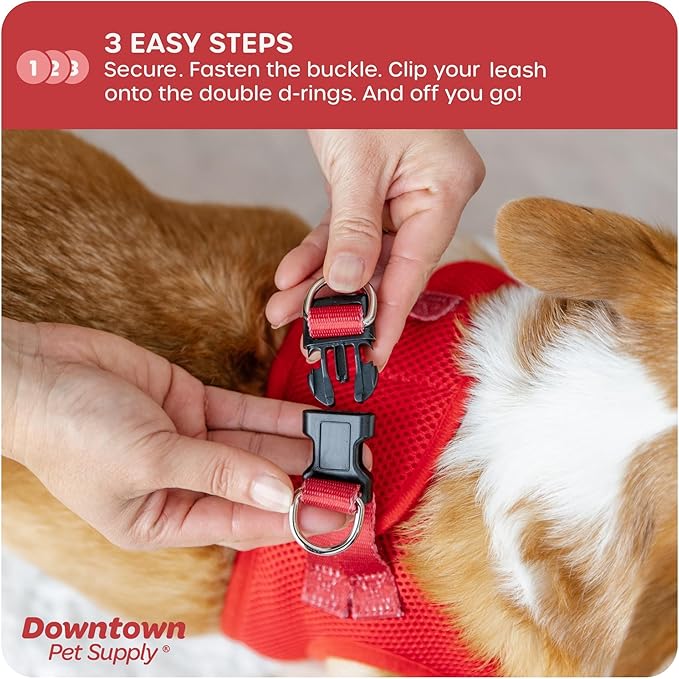 Downtown Pet Supply Step-in Dog Harness – No Pull, Adjustable Padded Mesh with Reflective Trim, Secure Buckle Strap – Comfortable & Breathable Small Dog Harness, XX-Small, Red