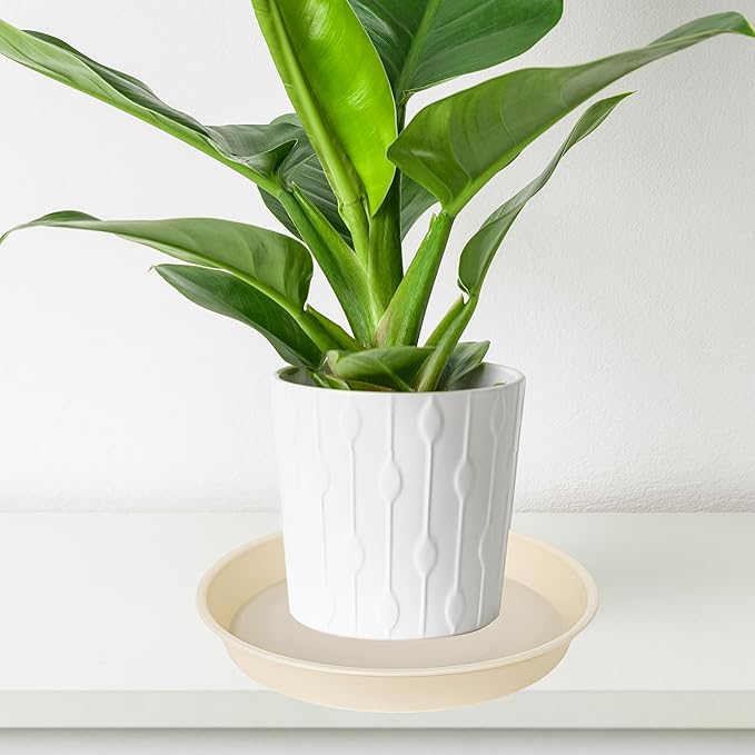 6 Pack of 6 inch Plant Saucer Drainage Tray, 4 5 7 8 10 12 13 15 17 19 inch Plastic Plant Water Tray, Flower Saucers for Indoors, Plant Dishes for Pots Base (6 inch, Beige)