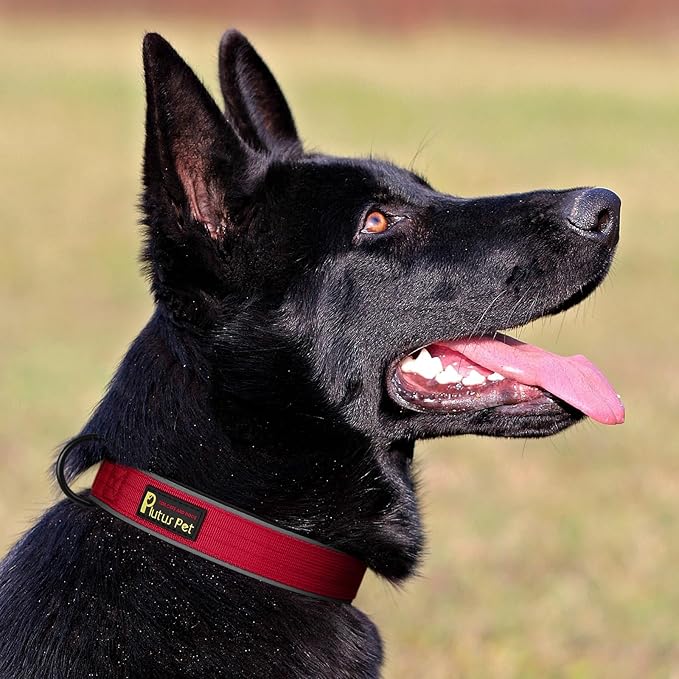 Plutus Pet Tactical Dog Collar, Reflective, Adjustable Heavy Duty Dog Collar, Soft Padded and Comfortable, for Small Medium and Large Dogs (Red, XL)