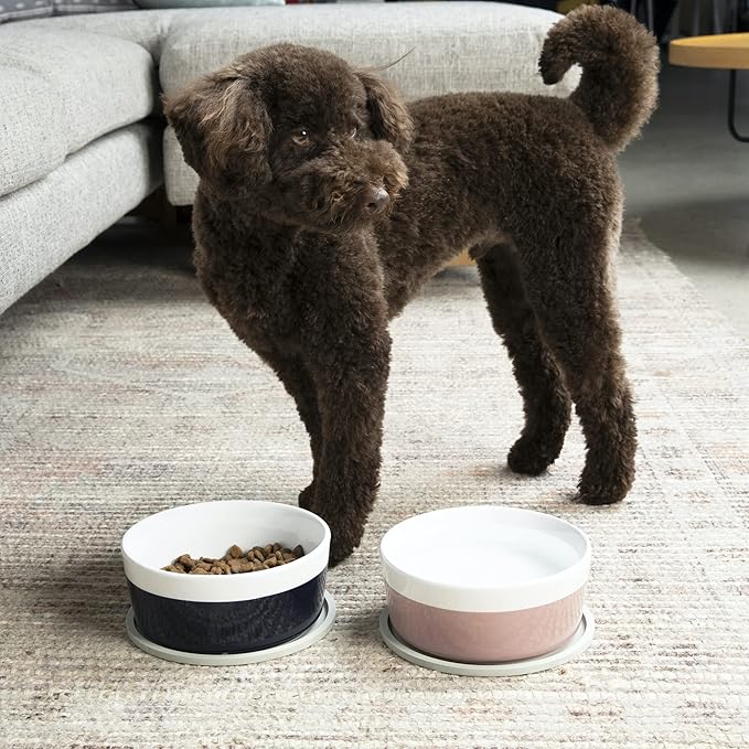 Waggo Habit Silicone Dog Placemat – Set of 2 Modern Heavyweight Silicone Dog Food Mats, Dishwasher Safe, Non-Slip, Solid Color – Black (Medium, 7")