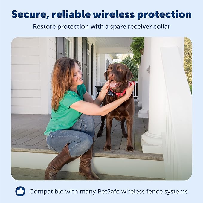 PetSafe Wireless Pet Containment System Receiver Collar - Battery-Operated & Waterproof - Adjustable Receiver Collar with 5 Correction Levels - for Dogs 5lb+