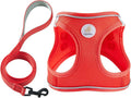 Hipubby Dog Harness and Leash Set, No Pull Soft Mesh Puppy Harness for Small Medium Dogs, Cats - Step in Reflective Breathable Lightweight Vest Harness for Walking, Training - Red, L