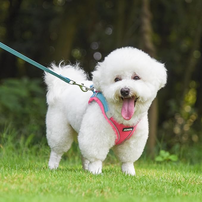 AIITLE Step in Dog Harness and Leash Set - No Pull Escape Proof Vest Harnesses with Soft Mesh and Reflective Bands, Adjustable Pet Outdoor Harnesses for Small and Medium Dogs Hot Pink M