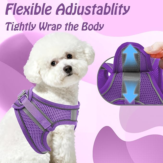 AIITLE Step in Dog Harness and Leash Set - No Pull Escape Proof Vest Harnesses with Soft Mesh and Reflective Bands, Adjustable Pet Outdoor Harnesses for Small and Medium Dogs Pure Purple M