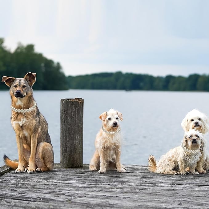 Chunky Pearl Dog Collar Large Breed (0.55 Inch), Adjustable Dog Necklace, Beaded Dog Collar Imitation White Pearls, Elegant Girl Dog Jewelry Accessories for Large Dogs