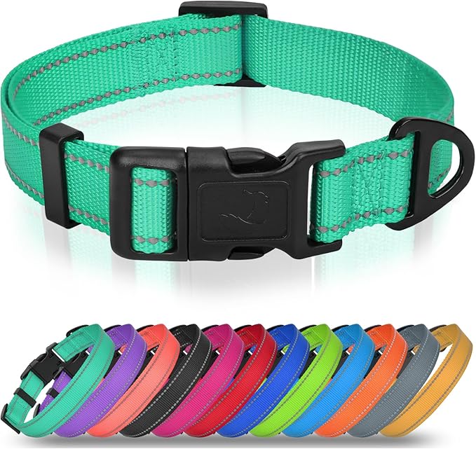 Joytale Large Dog Collar, Reflective and Adjustable Nylon Pet Collar with Quick-Release Buckle for Large Dogs, Teal, L