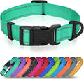 Joytale Small Dog Collar, Reflective and Adjustable Nylon Collar with Quick-Release Buckle, Lightweight No-Choke Design for Small Dogs, Teal, 5/8" Width