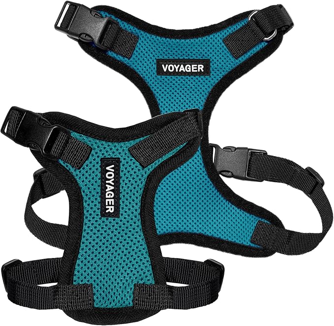 Voyager Step-in Pet Harness - All Weather Mesh, Adjustable Step in Harness for Cats and Dogs by Best Pet Supplies - Turquoise/Black Trim, M