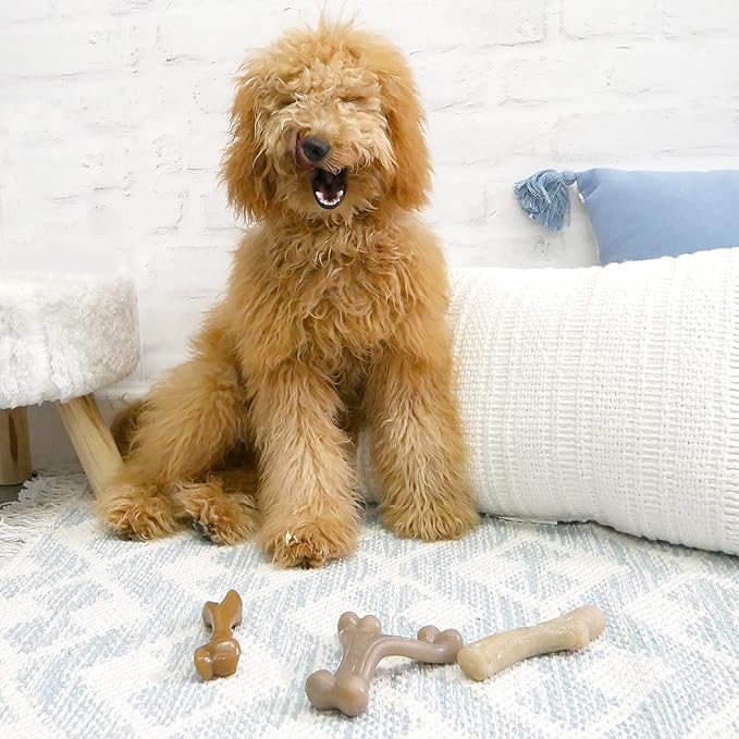 Nylabone Gourmet Style Strong Chew Toy Bundle, Toys for Dogs, Bacon & Chicken Flavor, Small - Up to 25 lbs, 2 Pack