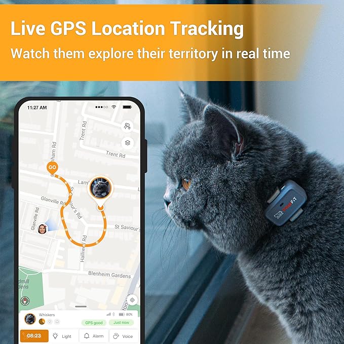 Pawfit Lite for Cats 4g GPS Tracker | Ultra-Small (<18g) Design | Real-Time Tracking | Activity Monitoring | Location History | Unlimited Range | Safety Collar Included | Charcoal Grey