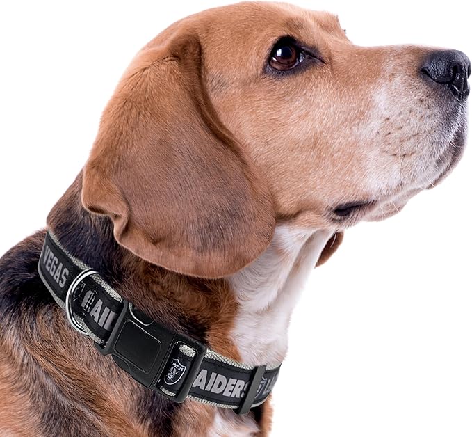 Pets First NFL Raiders Licensed PET COLLAR, Medium - Heavy-Duty, Strong, and Durable Dog Collar. Available in 31 Football Teams and 4 Sizes