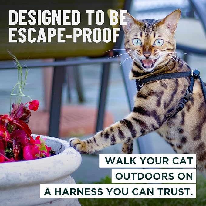 Houdini™ Escape Proof Cat Harness and Leash Set by OutdoorBengal – Red, Large Cat Harness for Walking Big Cats