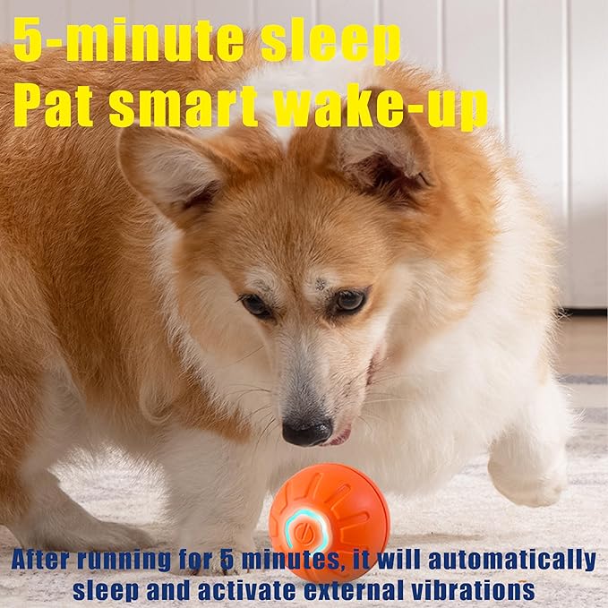 BIONEMAGILI Interactive Self-Moving Pet Toy Ball - Motion-Activated Auto Rolling, Military-Grade Chew Resistant, USB-C Rechargeable for Small Dogs & Cats (Blue, Small/Medium Sizes)