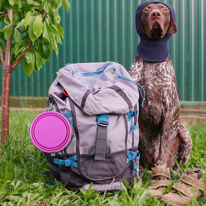 Loving Pets Bella Roma Collapsible Dog Bowls - Silicone Dog Bowls, Foldable Bowl, Puppy Essentials & Hiking Pet Supplies Great for Home & Travel (Pink, Medium)