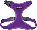 Voyager Step-in Pet Harness - All Weather Mesh, Adjustable Step in Harness for Cats and Dogs by Best Pet Supplies - Purple, L