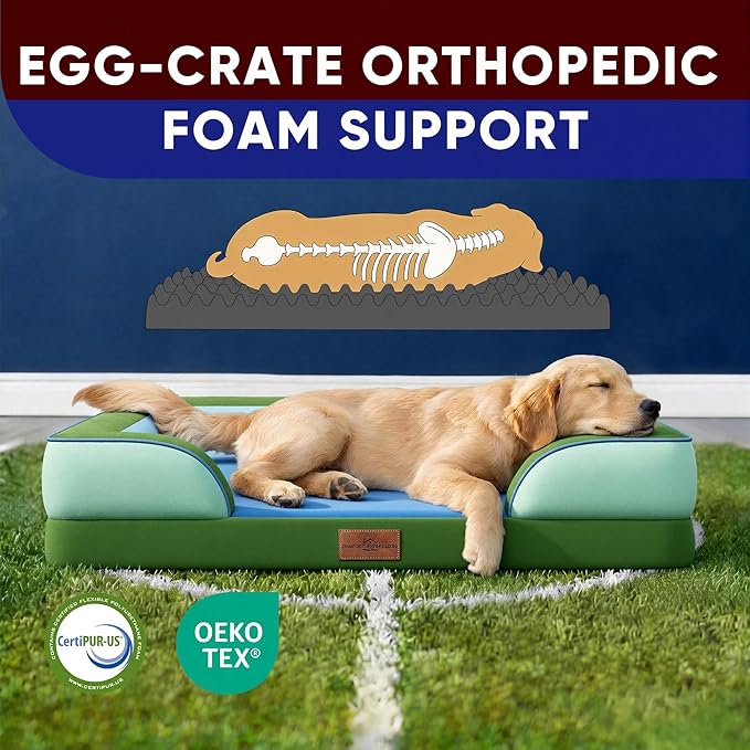 Comfort Expression Orthopedic Dog Bed for Extra Large Dogs 42x30 Inch, Waterproof Egg Crate Foam XL Pet Bed with Removable Bolsters, Dog Couch with Washable Cover & Non-Slip Bottom, Boston