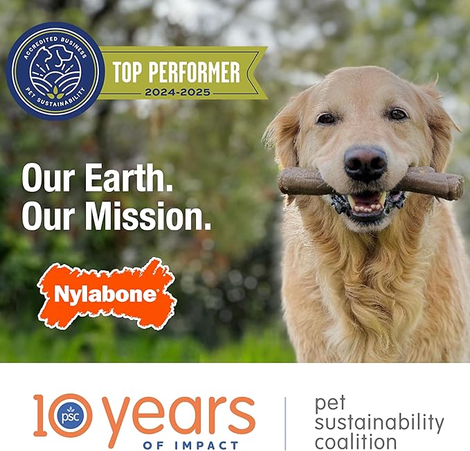 Nylabone Original Bone Flexi Chew Toy for Dogs, Flexible Dog Toys for Moderate Chewers, Chicken Flavor, Medium - Up to 35 lbs, 1 Count