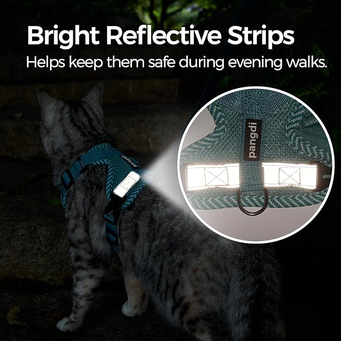 Cat Harness and Leash Escape Proof Small Kitten Harness Abyssinian Cat Vest for Walking Travel, Turquoise, S