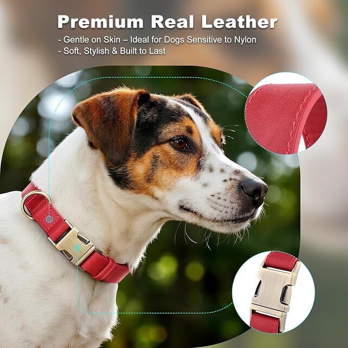 Plutus Pet Genuine Leather Dog Collar – Adjustable Pet Collar with Quick Release Metal Buckle, Soft Real Leather for Small Medium Large Dogs, Heavy Duty & Skin-Friendly (Red, L)