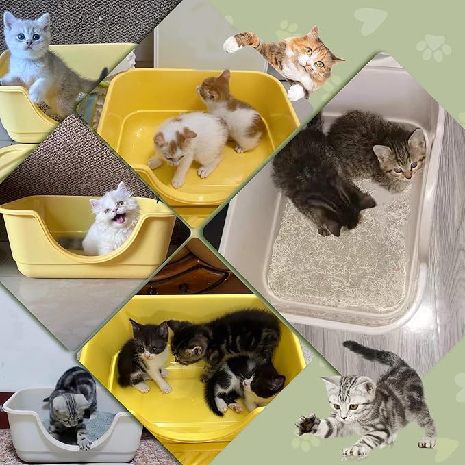 2 Pack Low Entry Small Litter Box for Kittens, Kitty Plastic Litter Boxes, Open Top, Anti-Splash High Sided Litter Tray Pan for Medium Pets, Puppy, Easy to Clean, 15.7"L*11.8"W*6.7"H (Yellow)