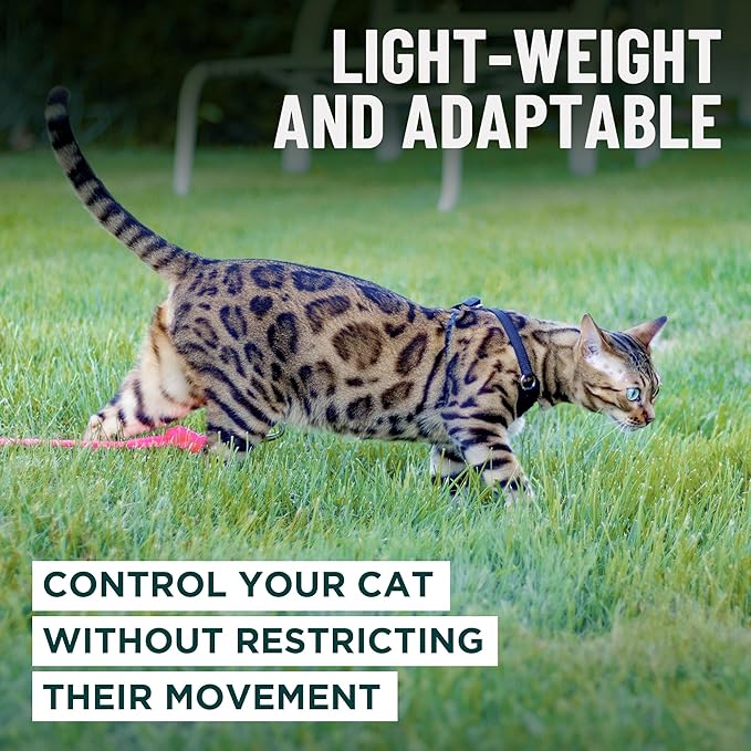 Houdini™ Escape Proof Cat Harness and Leash Set by OutdoorBengal – Red, Medium Cat Harness for Walking