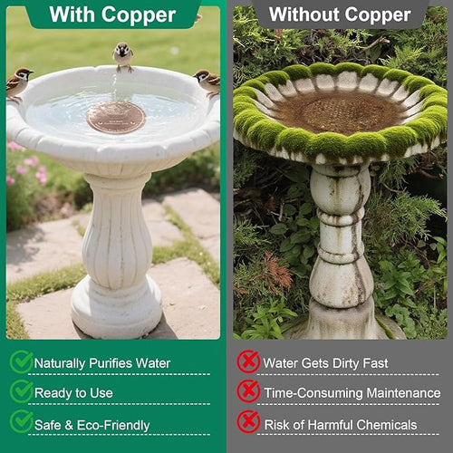 1 Pcs Copper Disc for Bird Bath | 99.99% Pure Copper Plate & Birdbath Disk | 0.6mm Thick Reinforced Design | Maintains Clean Water Naturally | Fits All Birdbath Bowls Year-Round (Bird Style 5)