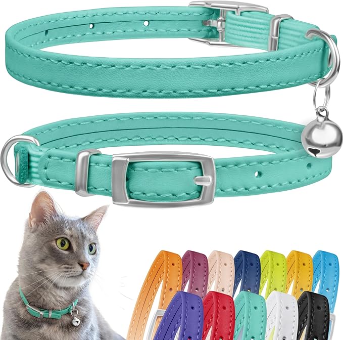 CollarDirect Leather Cat Collar, Cat Safety Collar with Elastic Strap, Kitten Collar for Cat with Bell Black Blue Red Orange Lime Green (Neck Fit 8"-11", Mint Green)