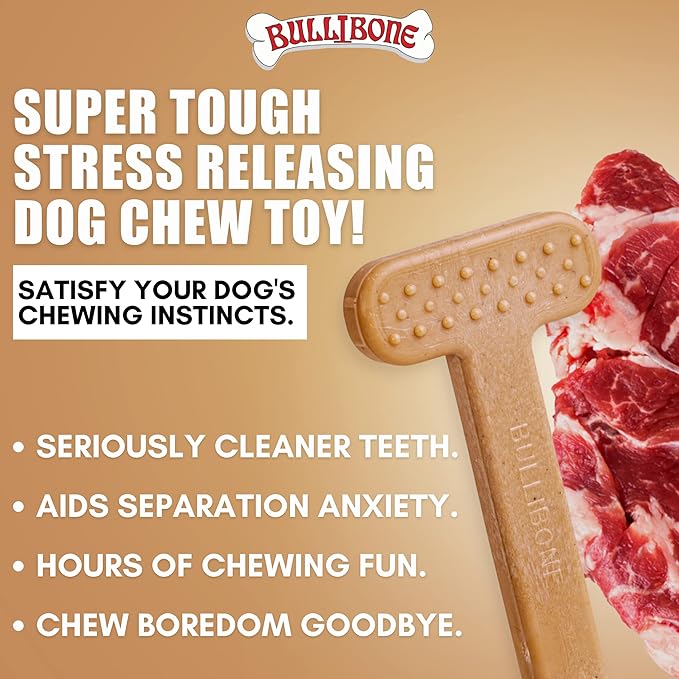 Bullibone Nylon Dog Chew Toy for Aggressive Chewers - Dental Hygiene Bone with Beef Flavor, Durable Tough Chew Toys for Extra Large Dogs, Indestructible Dog Bone - 3 Pack