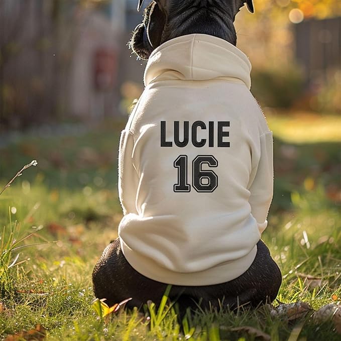 Personalized Name Dog Hoodie, Embroidered Hoodies Pets Name, Custom Pet Memorial, Bright Puppy Sweatshirt, Customized Pet Clothes Warm Winter Outfit for Dogs, Gift for Dog Lovers Style 3