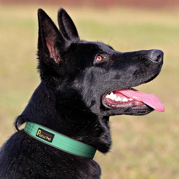 Plutus Pet Tactical Dog Collar, Reflective, Adjustable Heavy Duty Dog Collar, Soft Padded and Comfortable, for Small Medium and Large Dogs (Teal, XS)