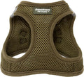 Downtown Pet Supply Step in Dog Harness for Teacup Dogs & Cats No Pull, XX-Small, Hunter Green - Adjustable Harness with Padded Mesh Fabric and Reflective Trim - Buckle Strap Harness for Dogs
