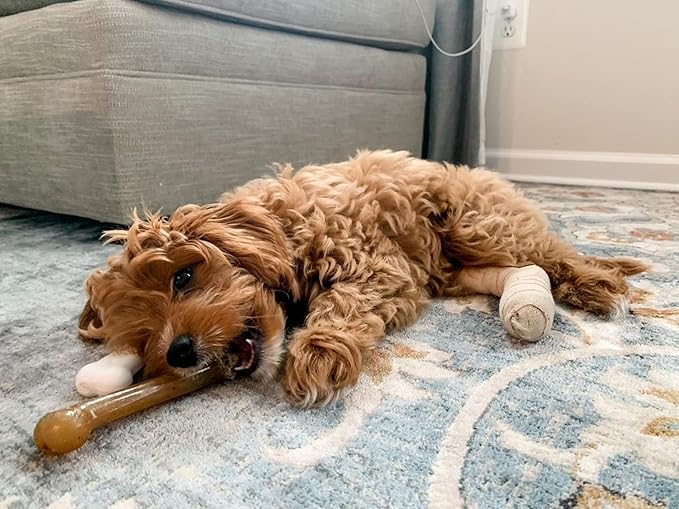 Nylabone Power Chew Classic Bone Chew Toy for Dogs, Durable Dog Toys for Aggressive Chewers, Chicken Flavor, Large/Giant - Up to 50 lbs. (1 Count)