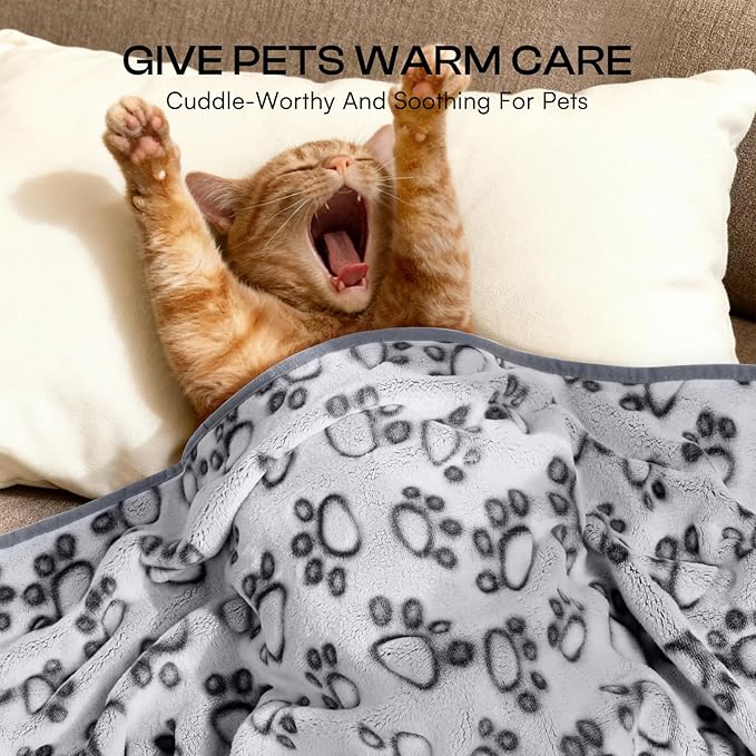 Luciphia Premium Soft Dog Blanket for Small Medium Large Dogs Washable 300GSM Fluffy Warm Fleece Puppy Cat Paw Print Pet Flannel Grey Paw L(41"x31")