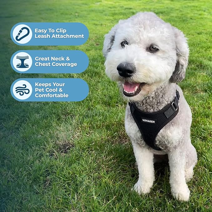 Voyager Step-in Pet Harness - All Weather Mesh, Adjustable Step in Harness for Cats and Dogs by Best Pet Supplies - Black, M