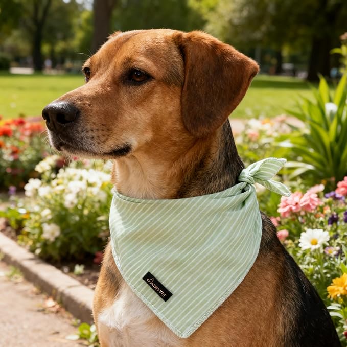 ARING PET Summer Dog Bandana, Cute Green Bandanas, Comfortable Pet Scarf Triangle Bibs for Puppy Small Medium Large Boy Girl Dogs and Cats