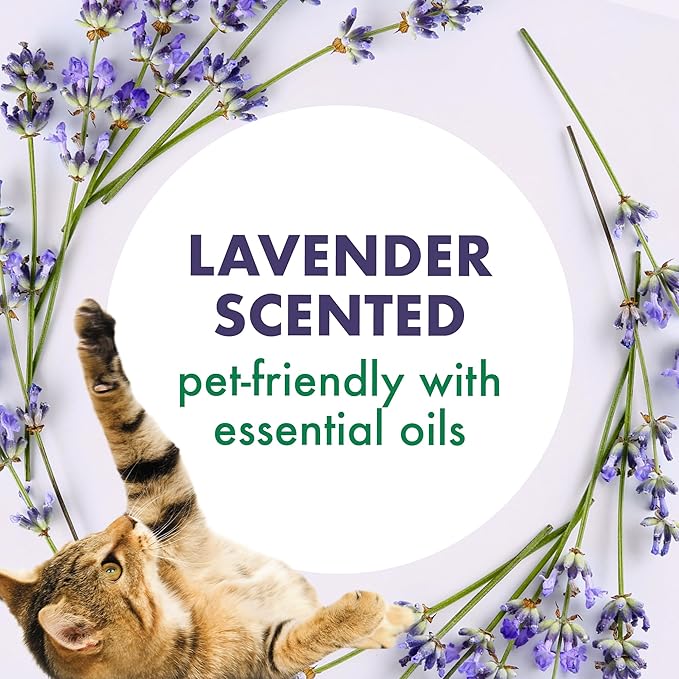 Arm & Hammer Forever Fresh Cat Litter Deodorizer, Wild Lavender, Essential Oils, Baking Soda Odor Neutralizer, 30 oz. Pack of 6 (Packaging May Vary)