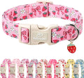 Strawberry Bow Dog Collar for Small Dogs - Cute Pink Spring/Summer Girl Dog Collars, Lightweight Adjustable Female Girly Dogs Collars with Quick Release Buckle S