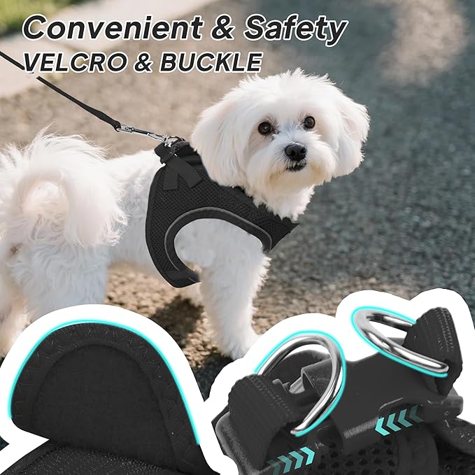 PetiFine Step in Small Dog Harness and Leash Set, Breathable All Weather Air Mesh Reflective Escape Proof, Step-in Vest Harnesses for Puppy(S, Black)