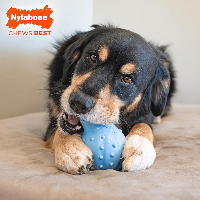 Nylabone Treatin' Cone Strong Stuffable Chew Toy for Dogs, Natural Rubber Fillable Treat Toy, Treat Dispensing Dog Toy, Bacon Flavor, X-Large - 50+ lbs, 1 Count