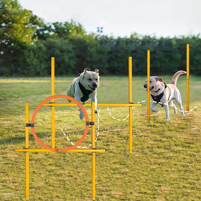 TNZMART 2.6 FT Dog Agility Obstacle Course Backyard Set with Wave Poles, Adjustable Hurdles and Jump Ring, Training Exercise Equipment for Dogs (Pack of 3 Yellow)