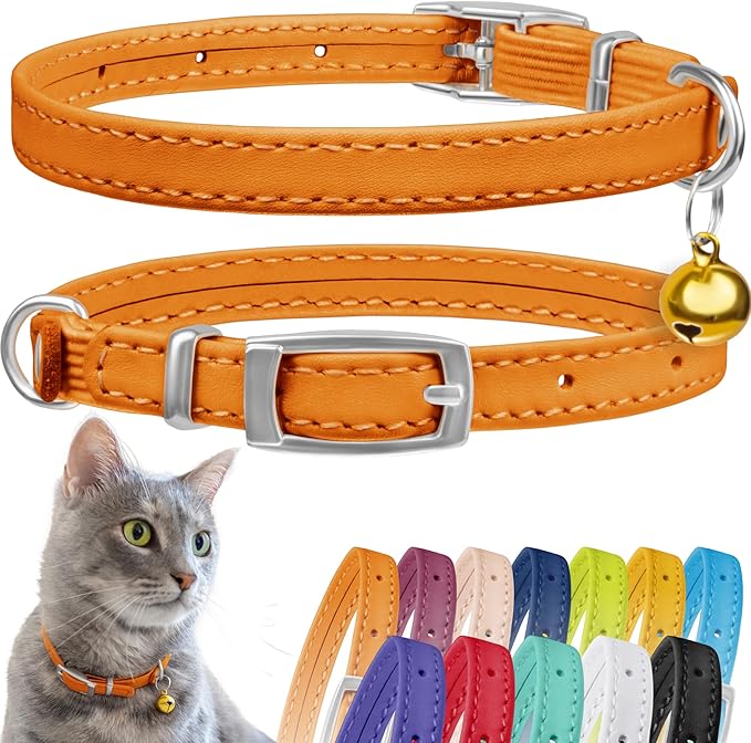 CollarDirect Leather Cat Collar, Kitten Collar with Removable Bell Black Blue Red Orange Lime Green (8-11 Inch, Orange)