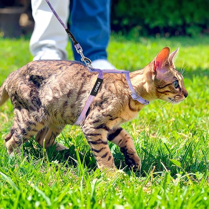 Cat Harness and Leash for Walking Escape Proof Adjustable Soft Harnesses and Leash Set Easy to Wear Kitten Harness for Travel Training and Walking(Gradient Purple)