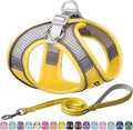AIITLE Comfortable Dog Harness and Leash Set for Walking - Spring Step in Vest Harness,Reflective Bands, Adjustable No Pull Puppy Essentials, for Small Dogs and House Cats Yellow XS