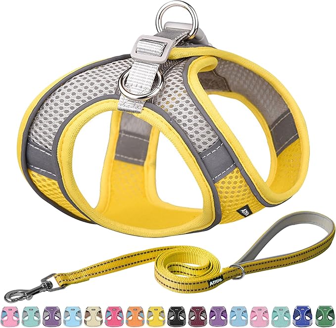 AIITLE Step in Dog Harness and Leash Set - No Pull Escape Proof Vest Harnesses with Soft Mesh and Reflective Bands, Adjustable Pet Outdoor Harnesses for Small and Medium Dogs Yellow M