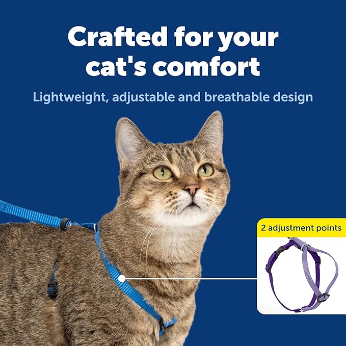 PetSafe Come With Me Kitty Cat Harness & Bungee Leash - Comfortable Cat Harness with Lightweight Bungee Leash for Outdoor Fun - More Secure Walks - Small - Royal Blue