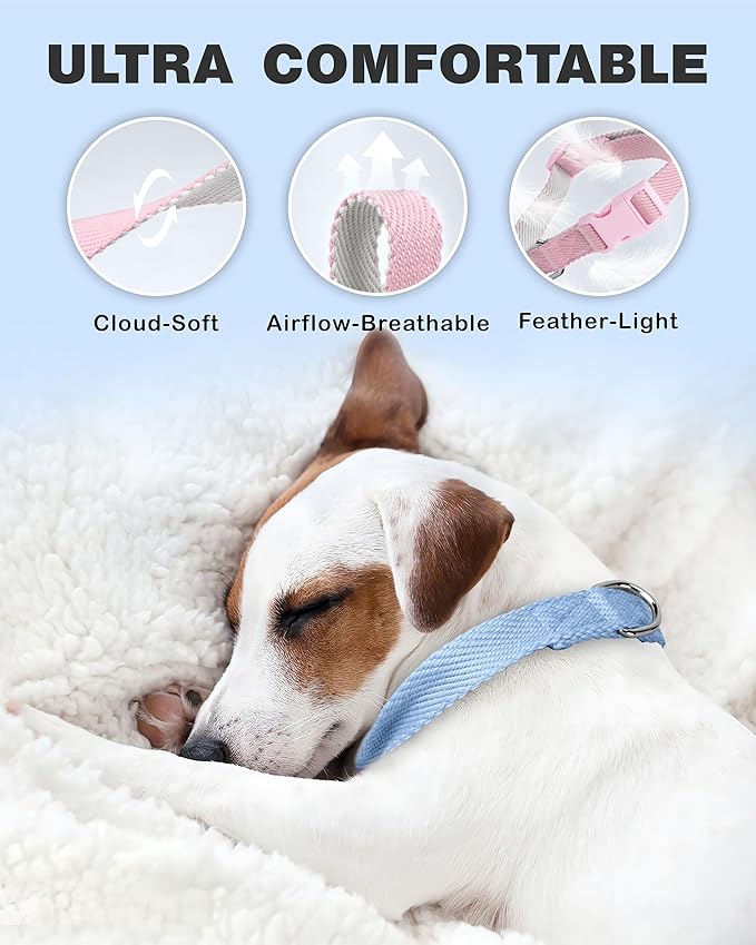 Dynmeow Soft and Breathable Cotton Dog Collar, Durable Adjustable Heavy-Duty Boy Pet Collar with Quick-Release Buckle, Lightweight for Sensitive Skin for Medium and Large Dogs, Light-Blue, M